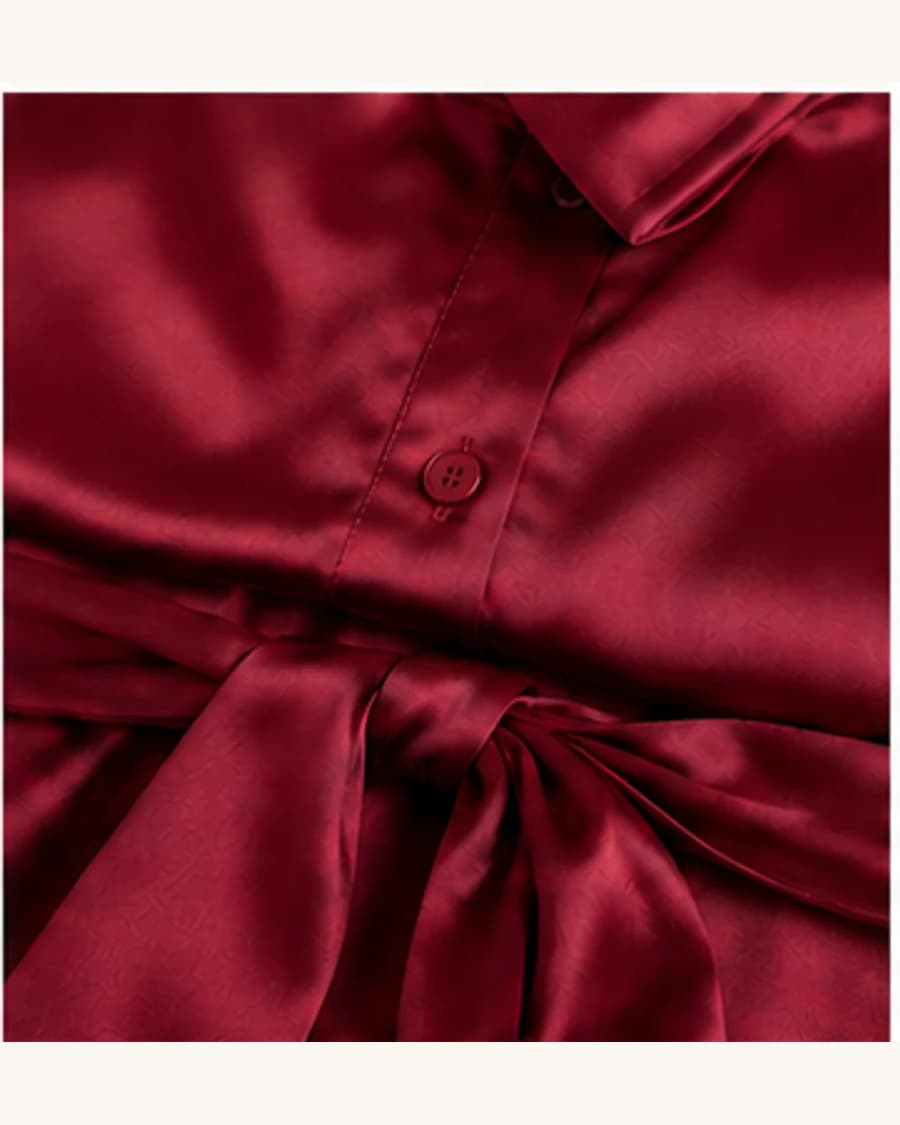 Moonlit Shirt Dress: close-up detail view